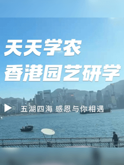 与香港园艺学会联合举办香港园艺研学，专业园境师带队讲解。