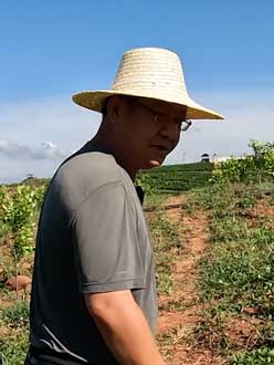 农业人叶涛，50多岁通讯人跨界搞农业，他要用1000万打造一个梦。